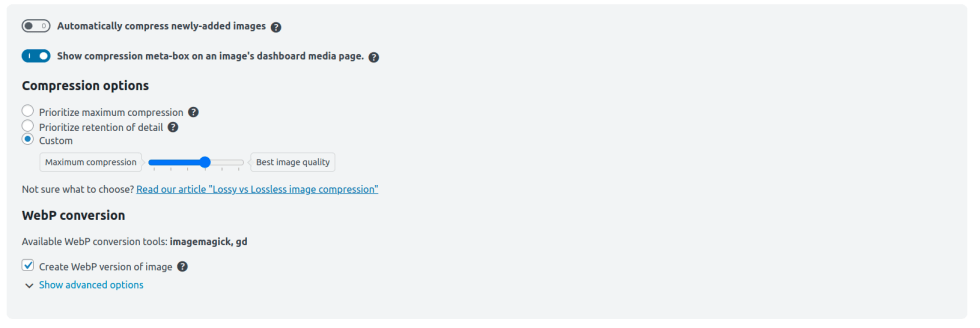 WebP section settings