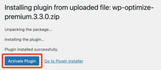 Select 'Activate plugin' button