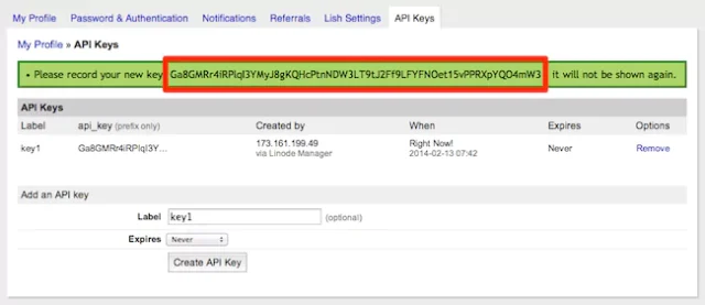 Once the API key is created, copy it and save it