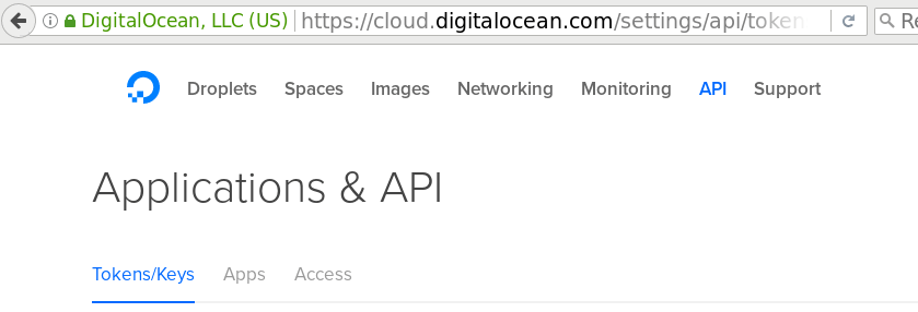 Application & API 'Token/keys' tab