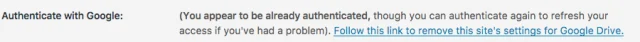 'Authenticate with google' section