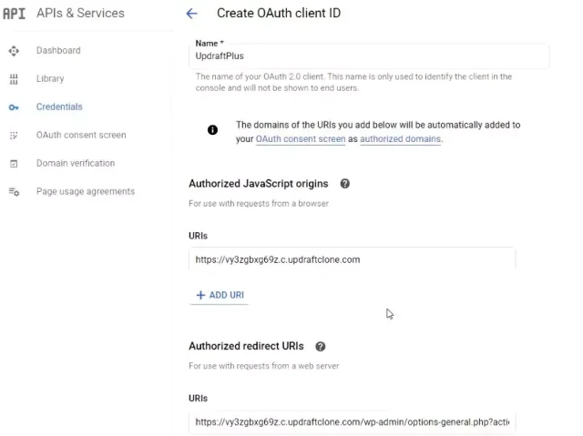enter the domain of the site in the 'Authorized JavaScript origins' section
