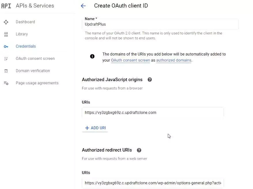 enter the domain of the site in the 'Authorized JavaScript origins' section
