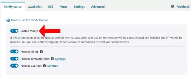 Select 'Enable Minify' toggle in the 'Minify status' tab