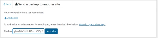 Paste the copied key into the 'Site key' section then select 'Add site' button