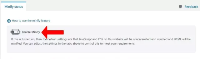 Select 'Enable Minify' toggle in the 'Minify status' tab
