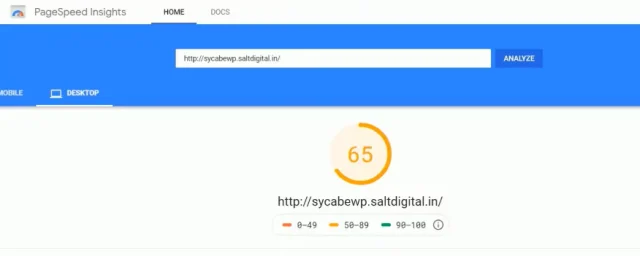 PageSpeed Insights report of 65