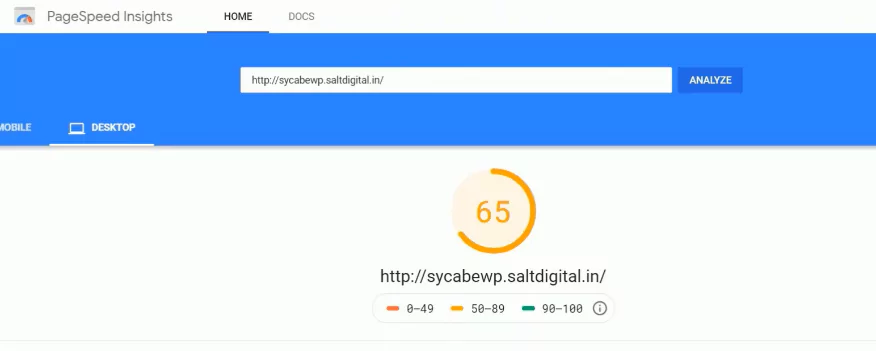 PageSpeed Insights report of 65