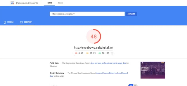PageSpeed Insights report of 48