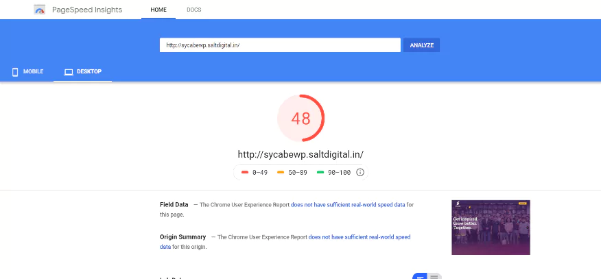 PageSpeed Insights report of 48