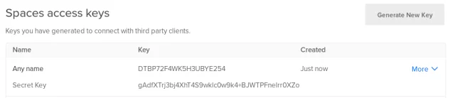 Spaces access keys 'Secret key'