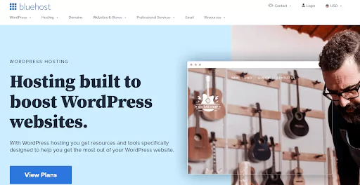 Bluehost landing page