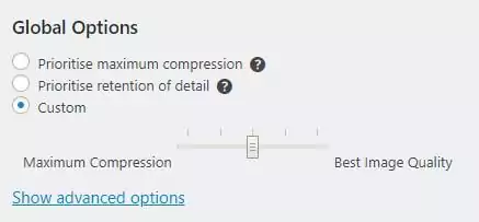 WP Optimize custom 'Global options' section