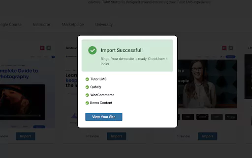 Demo site 'Import successful' message