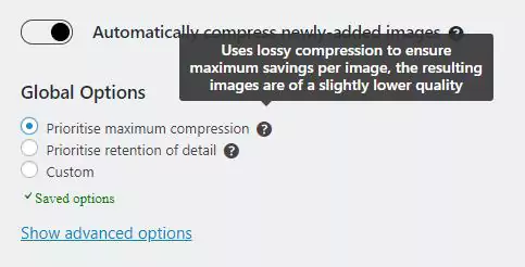 Lossless compression options