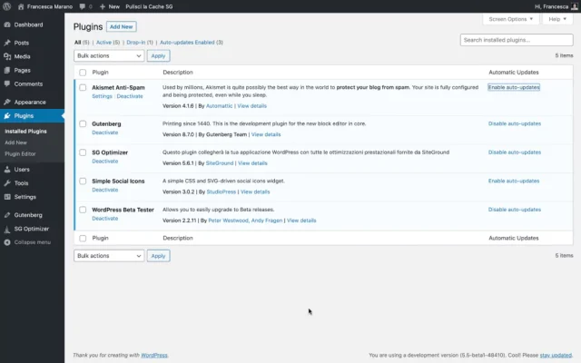 WordPress Installed Plugins page