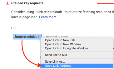 In the 'Preload key requests' section right click on the URL and select 'Copy Link Address'