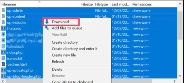 To manually migrate your site and save files, select all the files, right click and select 'Download'