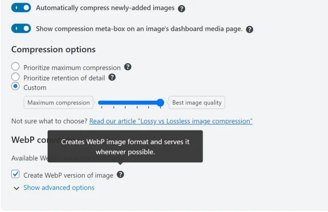 WebP function in WP-Optimize 'Compression options' section