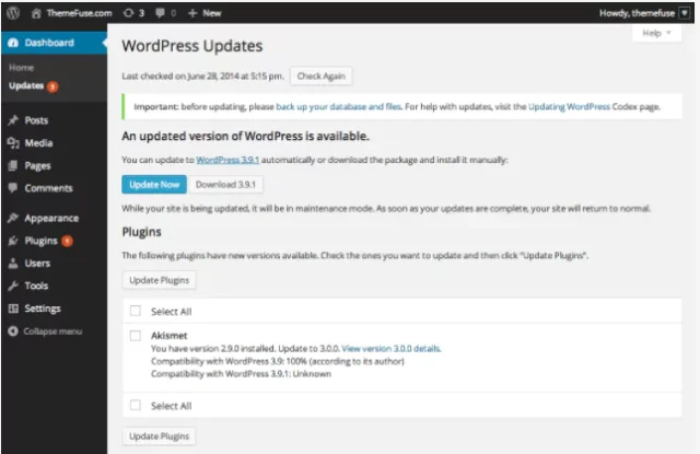 WordPress Updates page