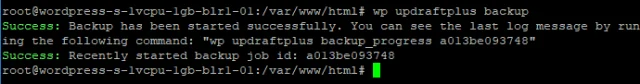 Wp cli command line window