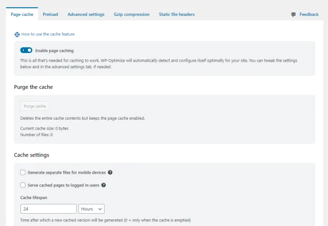 WP Optimize 'Page cache' tab options
