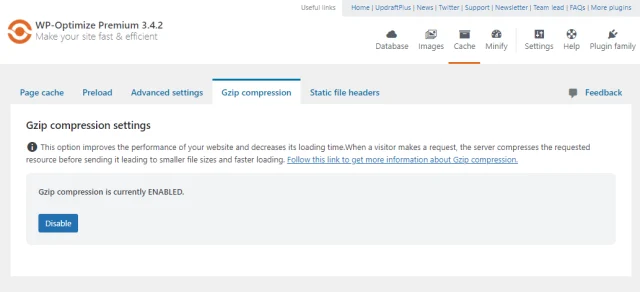 WP Optimize 'Gzip compression' tab option