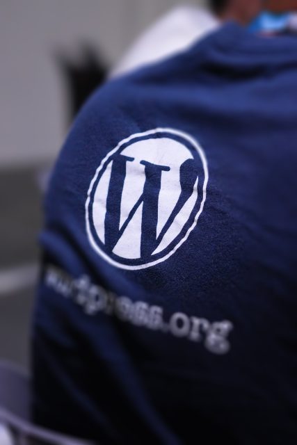 Person wearing a blue WordPress T-shirt